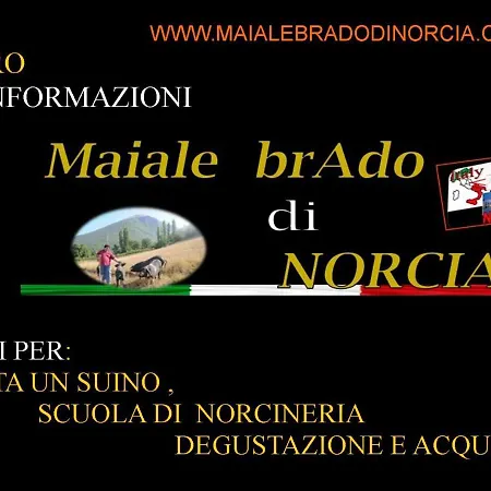 Guest house La Dimora Maiale Brado Di Norcia