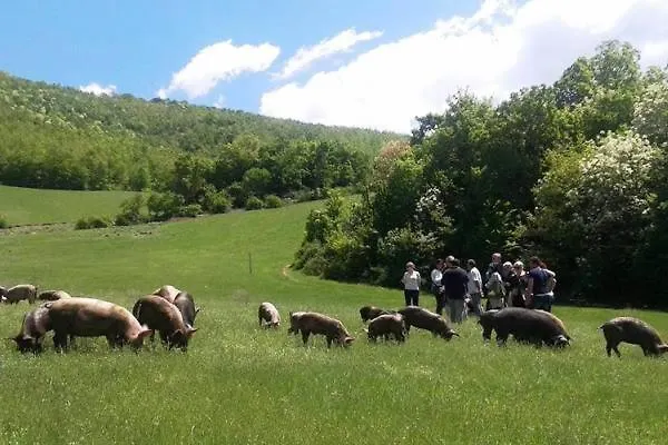 La Dimora Maiale Brado Di Affittacamere